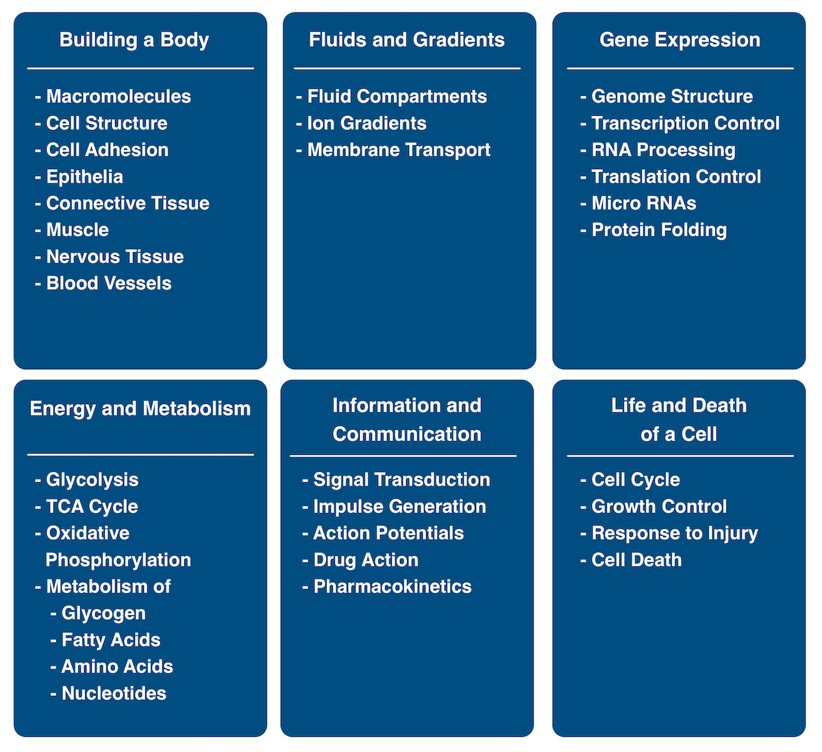 The themes in Scientific Foundations ground students in the principles of modern medicine.