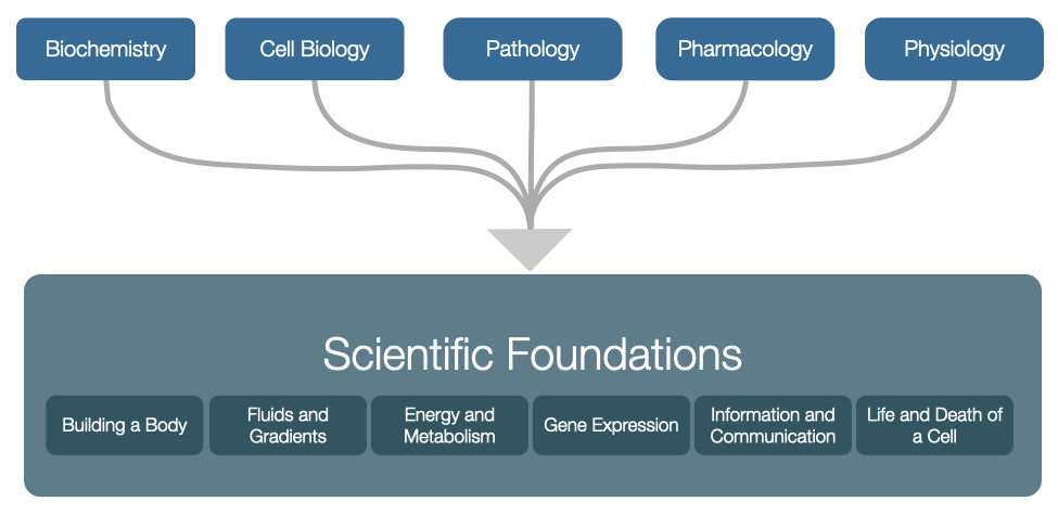 Scientific Foundations takes the core content from several disciplines and integrates it into themes.